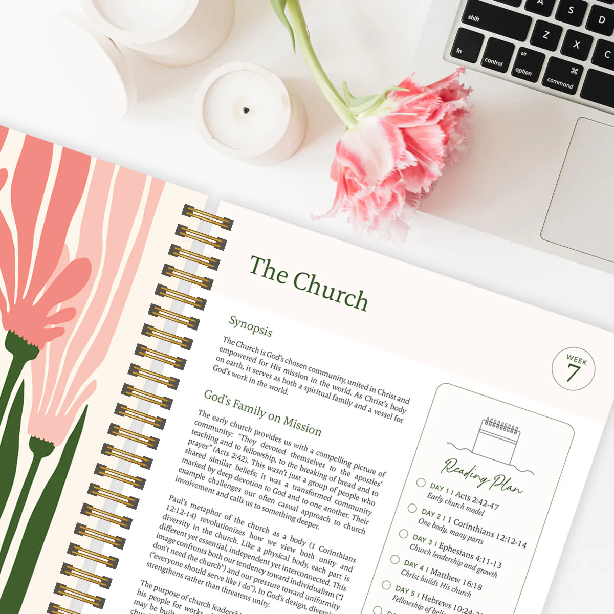 La Biblia en un año